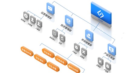 優化投資管理 構建高效公司架構的關鍵策略